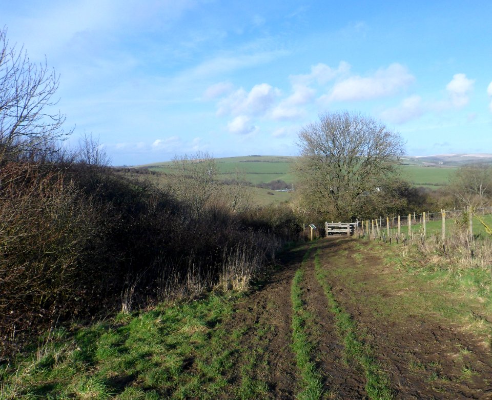 Coney Hill, Patcham, Brighton (February 2014) (7)