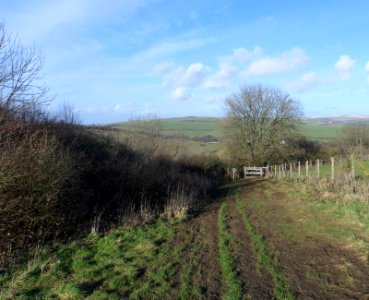 Coney Hill, Patcham, Brighton (February 2014) (7)