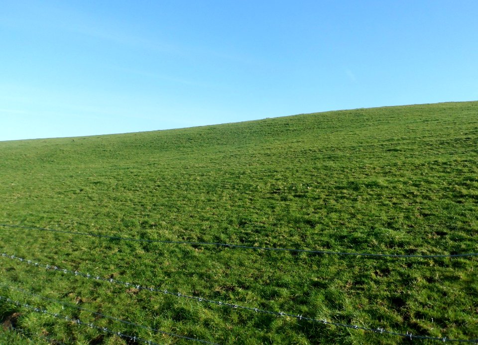 Coney Hill, Patcham, Brighton (February 2014) (2)