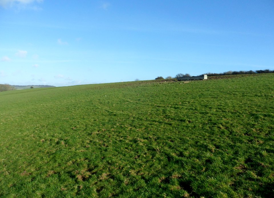 Coney Hill, Patcham, Brighton (February 2014) (5)