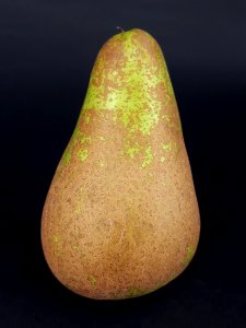 Conference pear 2017 C2