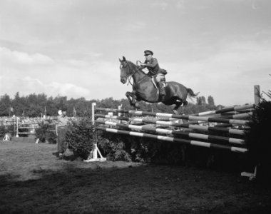 Concours hippique te Rotterdam, Bestanddeelnr 909-8308