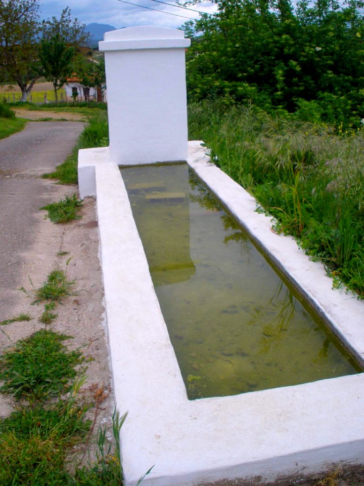 Comunión 26