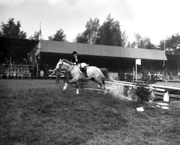 Concours Hippique te Rotterdam, Bestanddeelnr 912-8847