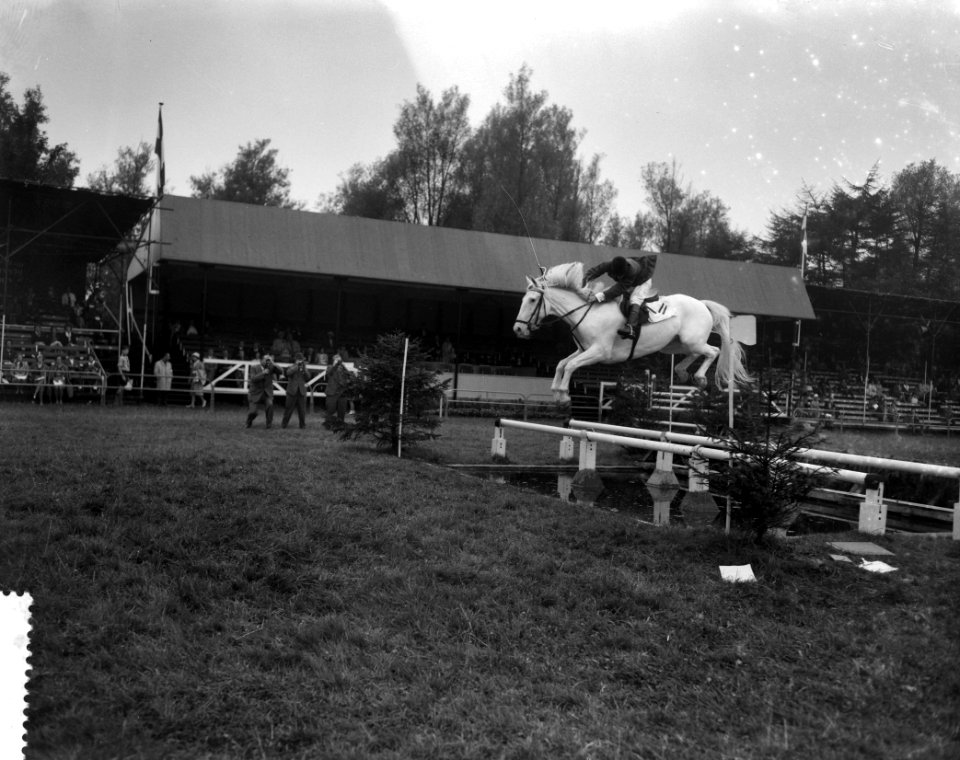 Concours Hippique te Rotterdam, Bestanddeelnr 912-8841
