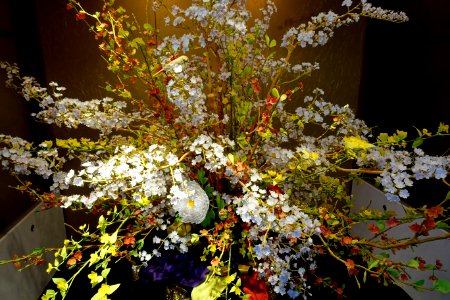 Confectionary flower display - Shinise Kinenkan Museum - Nagamachi - Kanazawa, Japan - DSC00239