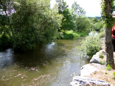 Condomines (Nages, Tarn, Fr) le Vèbre