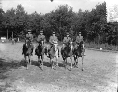 Concours Hippique Rotterdam, Zwitserse deelnemers, Bestanddeelnr 905-9232