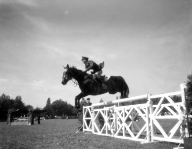Concours Hippique Rotterdam, eerste dag, Bestanddeelnr 906-6948