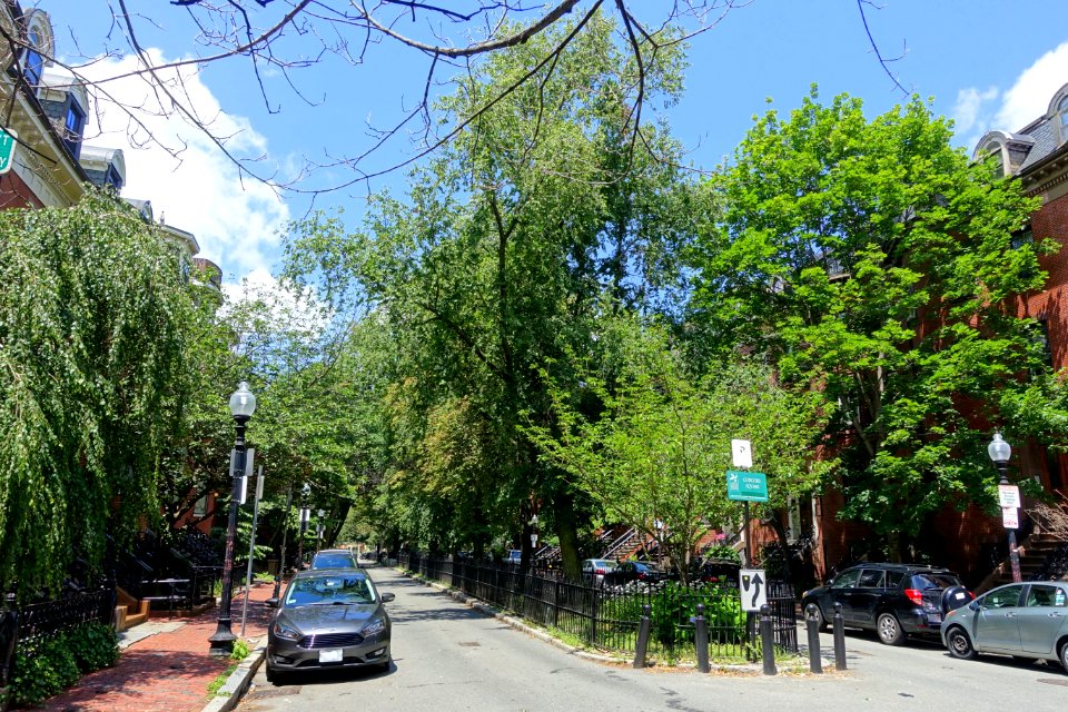 Concord Square - Boston, MA - DSC06832
