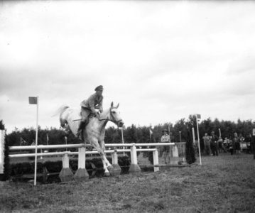 Concours Hippique Rotterdam, Bestanddeelnr 903-5907