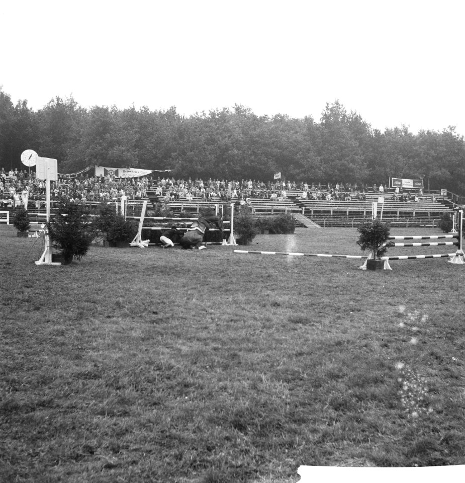 Concours Hippique te Rotterdam, Bestanddeelnr 912-8851