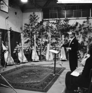 Concert voor 12 harpen op kasteel Nijenrode te Breukelen, Bestanddeelnr 911-4638