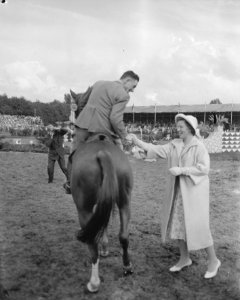 Concours hippique te Rotterdam Beatrix reikt prijs uit, Bestanddeelnr 909-8304