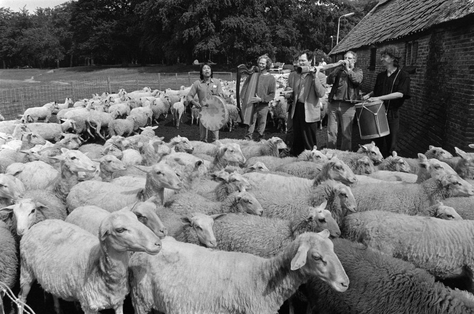 Concert voor schapen in Ede onder leiding van filosoof Clemens van de Ven (r), Bestanddeelnr 934-0103