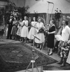 Concert voor 12 harpen op kasteel Nijenrode te Breukelen, Bestanddeelnr 911-4639