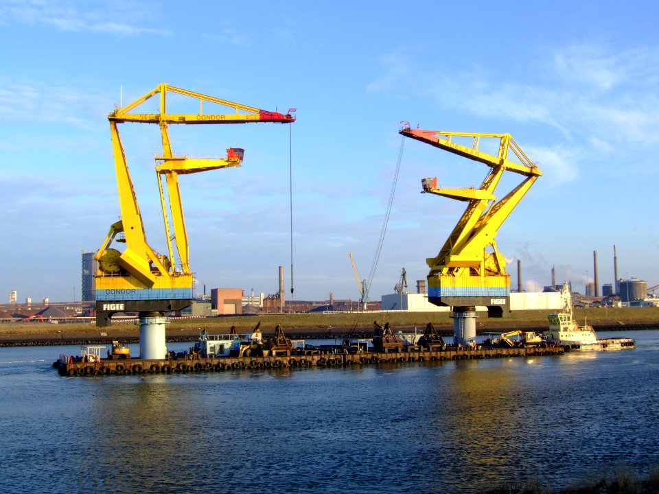 Condor & Adelaar pic2