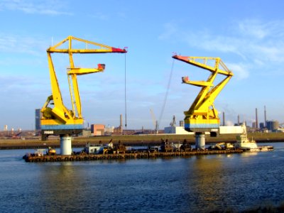 Condor & Adelaar pic2
