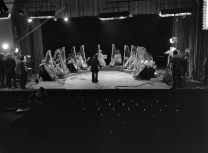Concert voor 12 harpen, Bestanddeelnr 912-7369