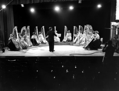 Concert voor 12 harpen, Bestanddeelnr 912-7370