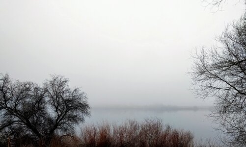 Mist winter morning photo