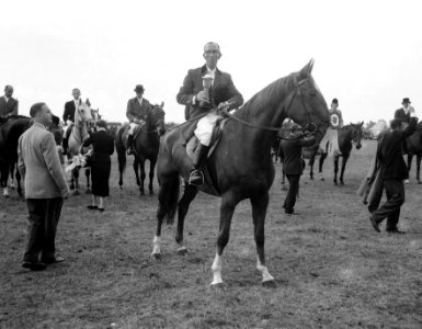 Concours hippique te Blaricum, de heer Sterk met Paddy, Bestanddeelnr 908-7896