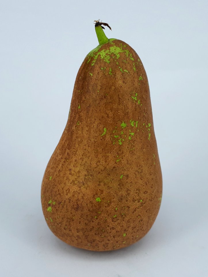 Conference pear 2017 D1