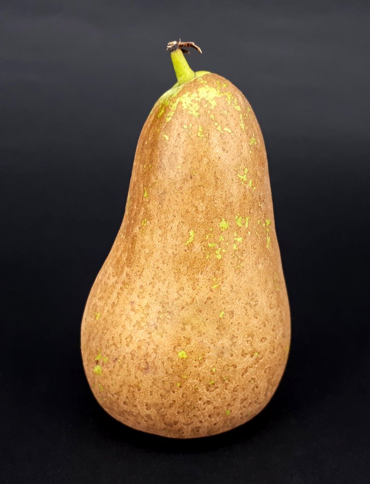 Conference pear 2017 D2