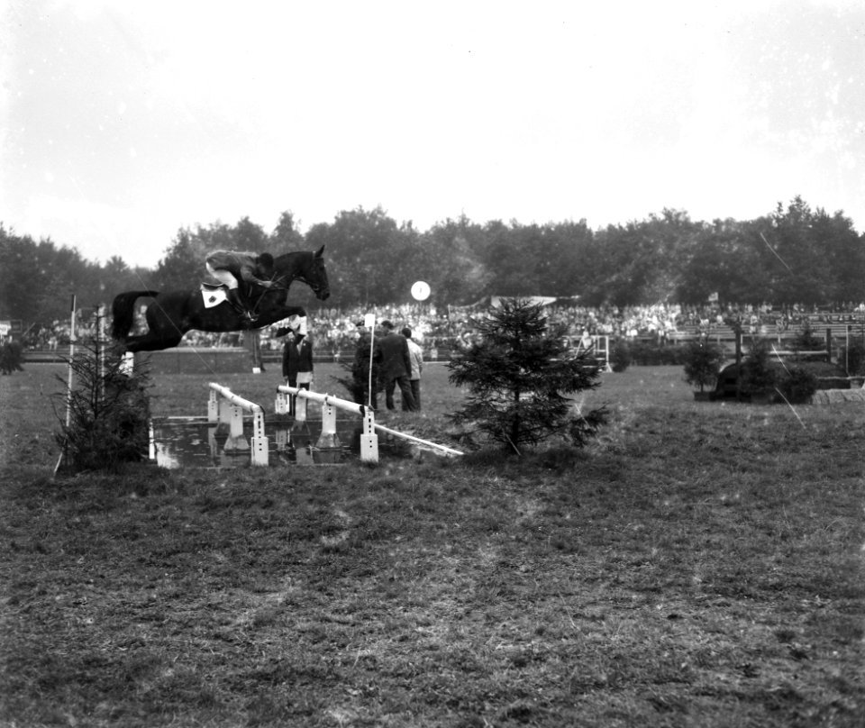 Concours Hippique te Rotterdam, Bestanddeelnr 912-8846