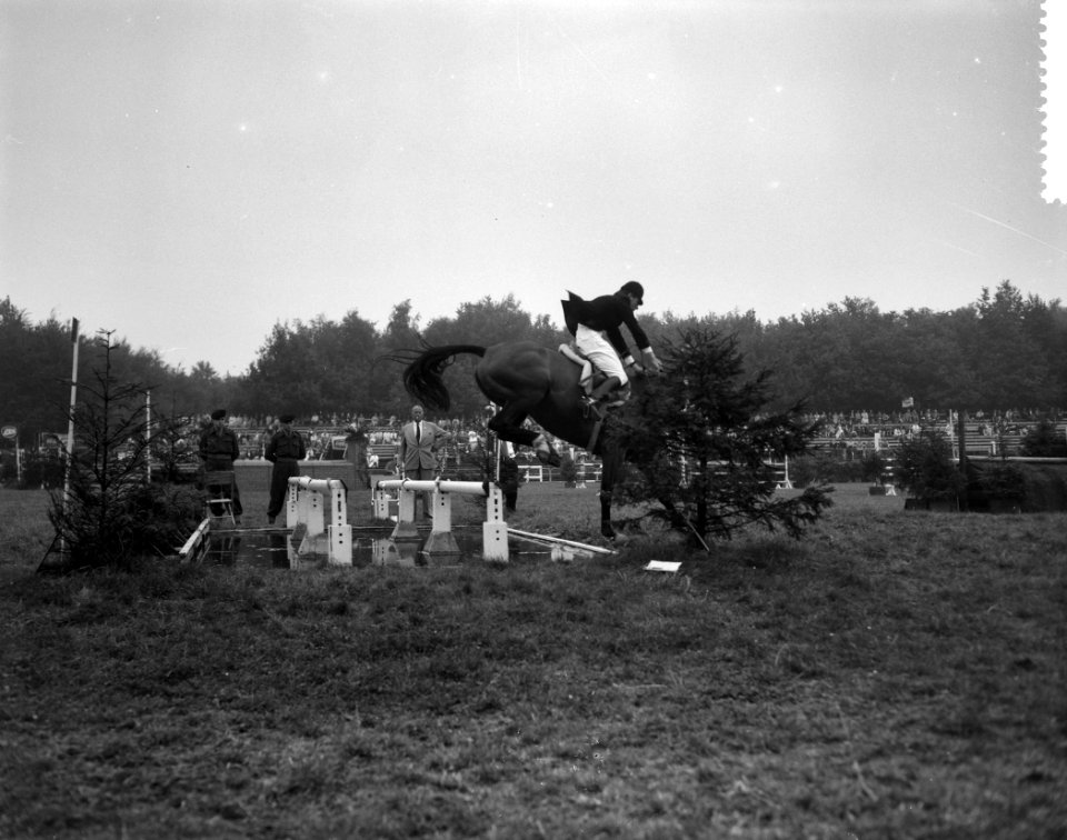 Concours Hippique te Rotterdam, Bestanddeelnr 912-8843