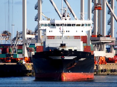 Condor (ship, 2012) IMO 9429235 Port of Rotterdam pic2
