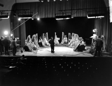 Concert voor 12 harpen, Bestanddeelnr 912-7371