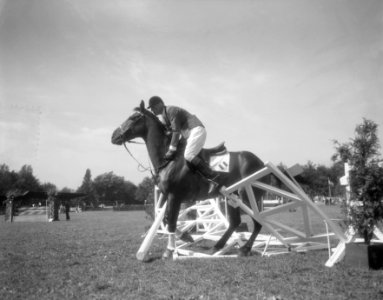 Concours Hippique Rotterdam, eerste dag, Bestanddeelnr 906-6949