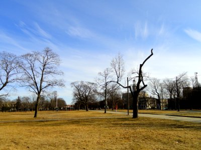 Compagnone Common - Lawrence, MA - DSC03596