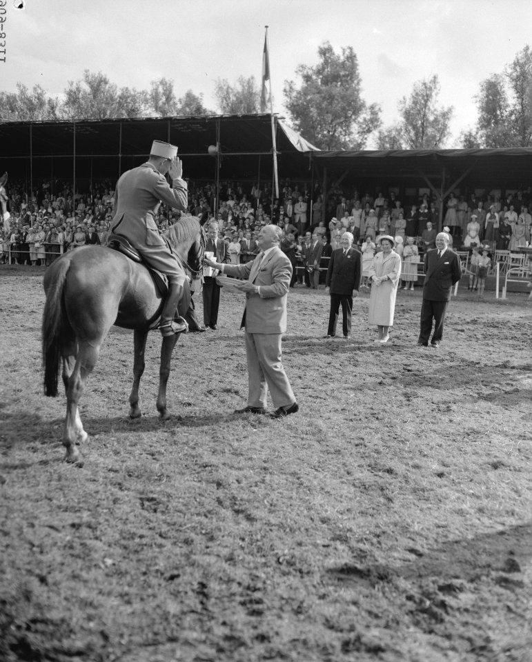 Concours hippique te Rotterdam Beatrix reikt prijs uit, Bestanddeelnr 909-8311