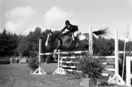 Concours Hippique te Rotterdam. Pia Arts met haar paard Weinbrand in aktie, Bestanddeelnr 915-4816