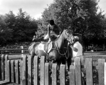 Concours Hippique te Rotterdam, ruiters in aktie, Bestanddeelnr 918-1429