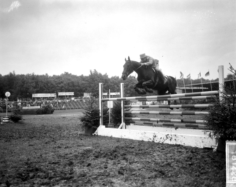Concours Hippique te Rotterdam, ruiters in aktie, Bestanddeelnr 918-1428