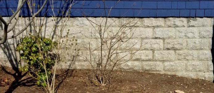 Concrete blocks - Arlington, MA - 02