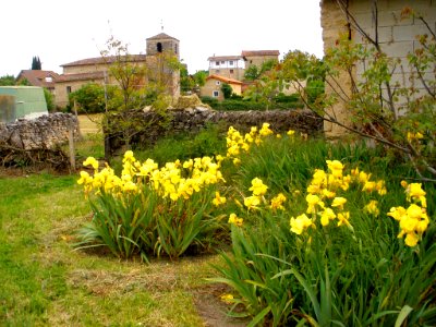 Comunión 12