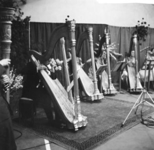 Concert voor 12 harpen op kasteel Nijenrode te Breukelen, Bestanddeelnr 911-4637