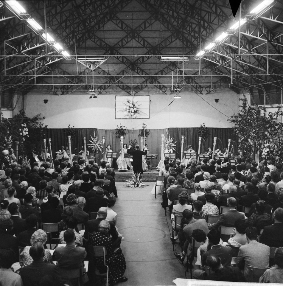 Concert voor 12 harpen op kasteel Nijenrode te Breukelen, Bestanddeelnr 911-4641