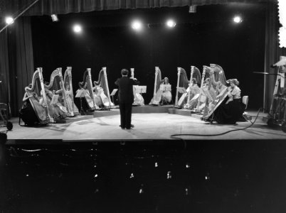 Concert voor 12 harpen, Bestanddeelnr 912-7373