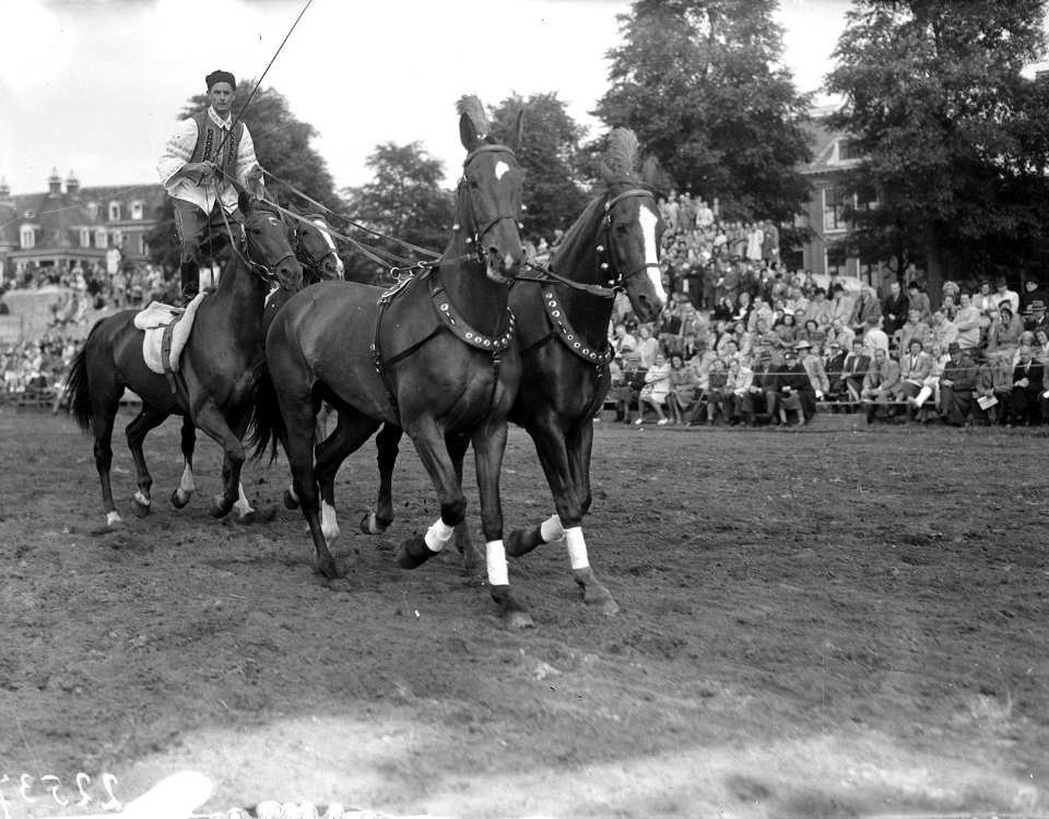 Concours Hippique Amsterdam, Bestanddeelnr 902-2537