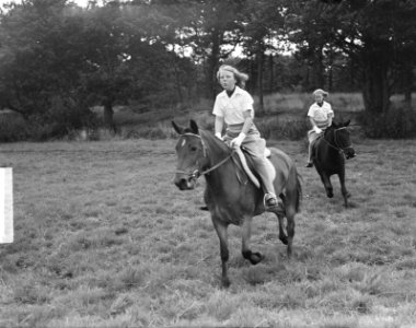 Concours Hippique , Koninklijke familie, Bestanddeelnr 903-5417