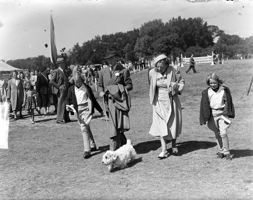Concours Hippique , Koninklijke familie, Bestanddeelnr 903-5413