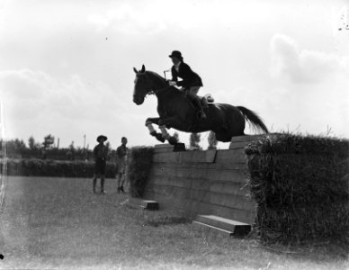 Concours Hippique, Bestanddeelnr 901-8331