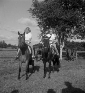 Concours Hippique , Koninklijke familie, Bestanddeelnr 903-5425