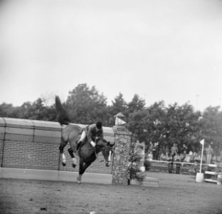 Concours Hippique in Sportpark Rightersbleekte Enschede de Duitse Ute Richter vi, Bestanddeelnr 915-2875