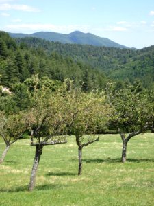 Concoules (Gard, Fr), paysage cévenol